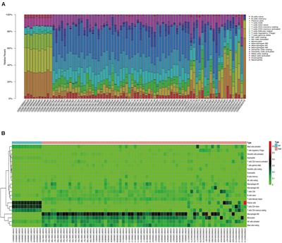 Combining Bioinformatics Techniques to Study the Key Immune-Related Genes in Abdominal Aortic Aneurysm